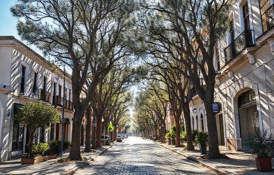 La Biblioteca Esteban Adrogué El Guardián de la Identidad 4