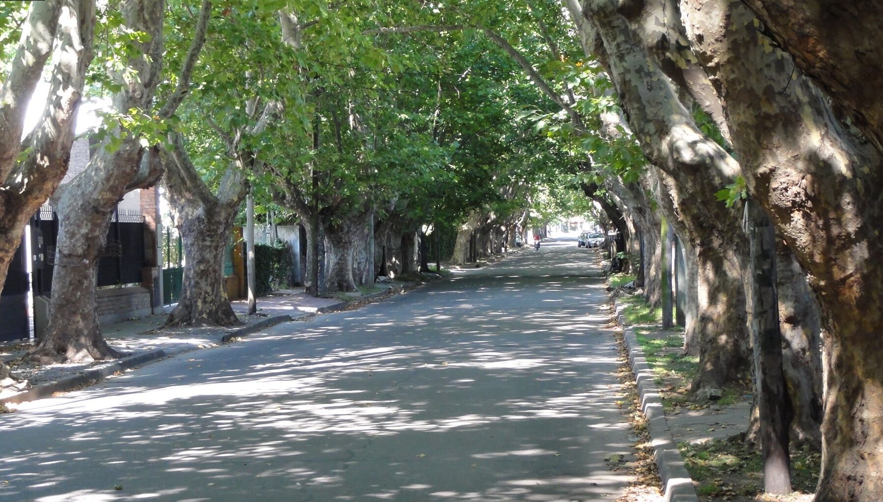 Lugares Tranquilos para Caminar y Descansar en Adrogué
